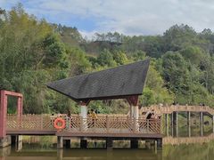 -神光山国家森林公园