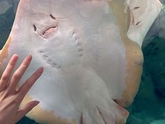 -珠海长隆海洋王国