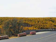 -塞罕坝国家级自然保护区