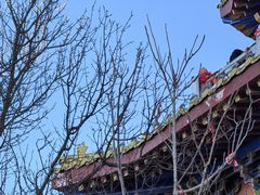 -终南山国家森林公园