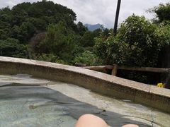 -乳源丽宫国际温泉酒店