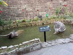 -燊海井