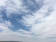 -希拉穆仁草原