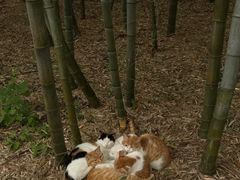 -醉人椒麻辣香锅(王府井喜悦店)