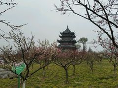 梅林亭榭-上海海湾国家森林公园