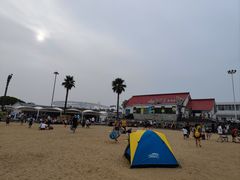 -碧海金沙
