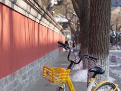 -北京国子监胡同