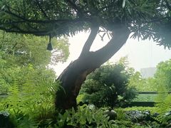 -恬阿姨庭院餐厅·生日宴