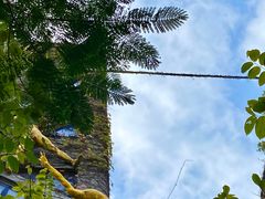 -F518时尚创意园