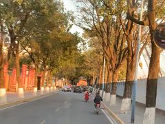 -长洲岛