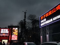 -李子坝梁山鸡(李子坝大鸡哥店)