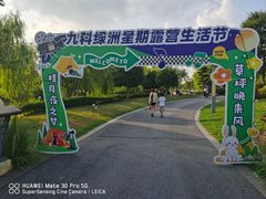 -九科绿洲