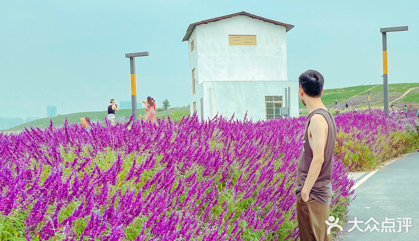 成都旅游｜这里拍照很出片