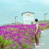 成都旅游｜这里拍照很出片