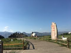 -哈素海