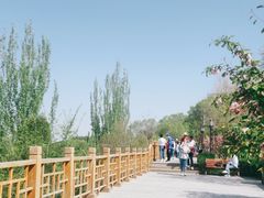 -兰山公园