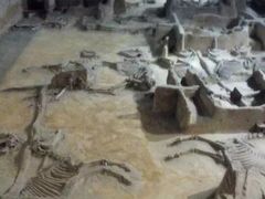 -洛阳周王城天子驾六博物馆