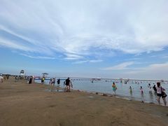 -碧海金沙