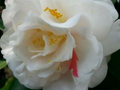 -上海市龙华烈士陵园