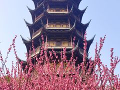 -红梅公园