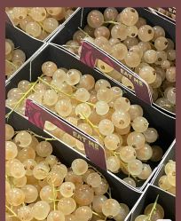 -Oasis Beauty水磨坊科技美肤中心