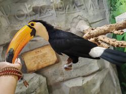 -Zoolung Zoolung动物主题公园(海信广场店)