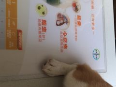 -康乐宝动物医院