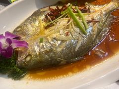 -青瓦餐厅·生鱼片·韩园烤肉(西塔店)