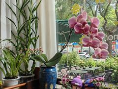 -街角 T·COFFEE 融合料理·BISTRO(车公庙店)