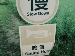 -红山村