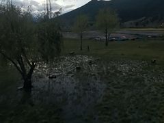 -泸沽湖国家级风景名胜区走婚桥