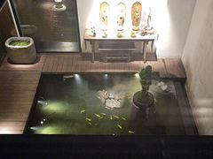 -觀芷隐轩