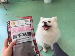 -东方动物医院·宠保定点·骨科·转诊中心(春城路·昆明站分院)
