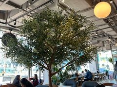 -Wagas沃歌斯(环贸店)