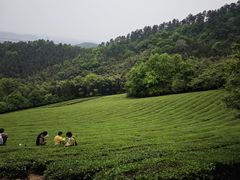-敬亭山风景名胜区