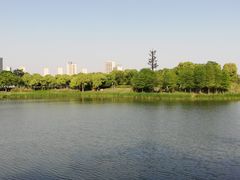 -尚贤河湿地