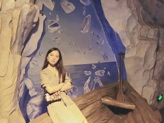 -芜湖新华联大白鲸海洋公园
