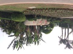 iphone_upload_pic-白沙门生态公园