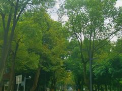 -四川大学(望江校区)