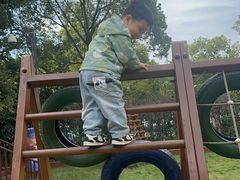 -玛利娅蒙特梭利双语幼儿园·托育(百家湖直营园)