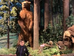 -陕西自然博物馆