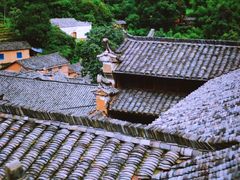 -杨家堂村