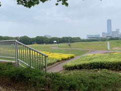 -苏州湾体育公园