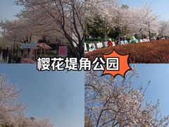 -堤角公园