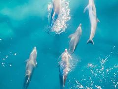 -沈阳海洋探索中心