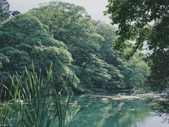 -井之头恩赐公园