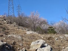-白水寺森林公园