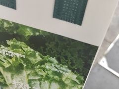 -树夏(建设路店)