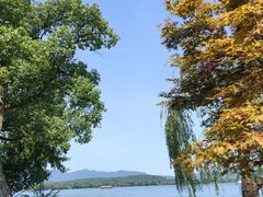 -浙江西子宾馆·瑶园咖啡厅