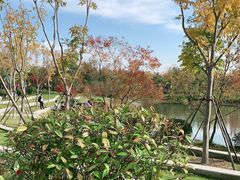 -狼山风景名胜区